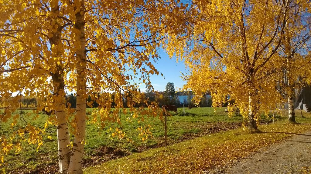 Apartamento Matkailutila Lahdelma Pertunmaa Exterior foto
